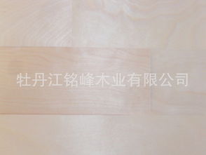 旭升装饰板材 产品 产品介绍 最新产品信息